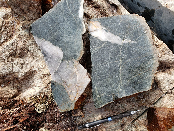 Biotite-chlorite altered sediment with mineralized quartz carbonate vein