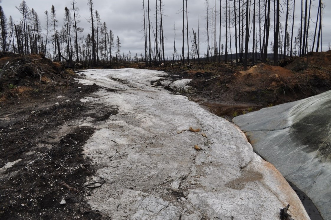 Pegmatite dyke exposed post 2023 wildfire.
